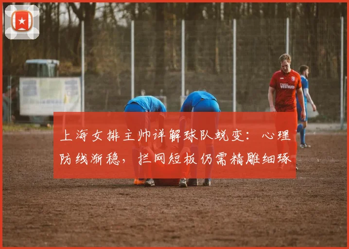 上海女排主帅详解球队蜕变:心理防线渐稳,拦网短板仍需精雕细琢