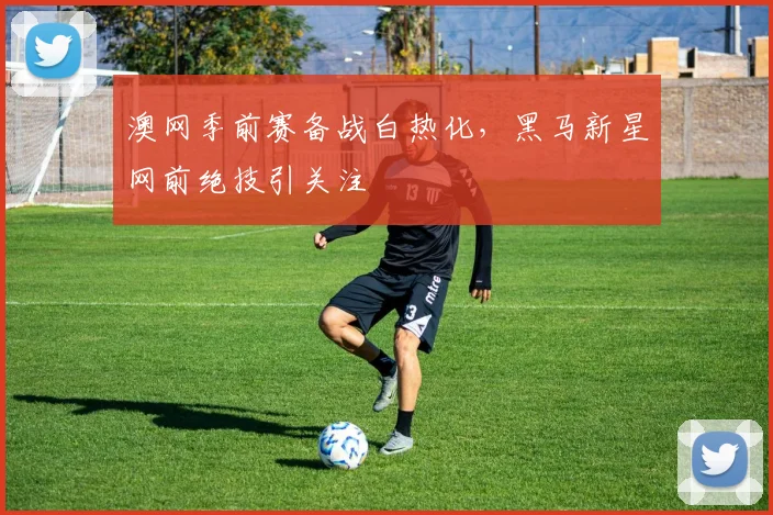 澳网季前赛备战白热化,黑马新星网前绝技引关注