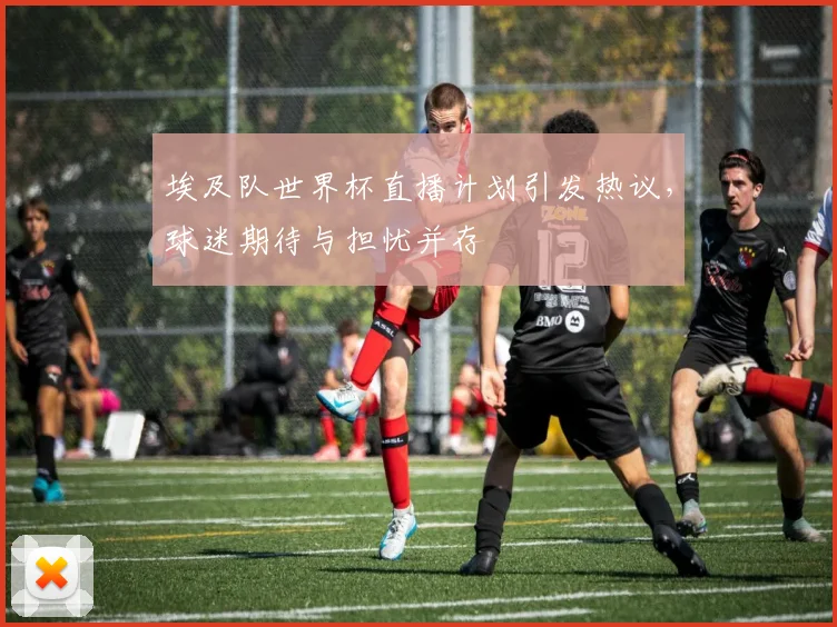 埃及队世界杯直播计划引发热议,球迷期待与担忧并存
