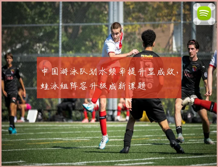 中国游泳队划水频率提升显成效,蛙泳组阵容升级成新课题