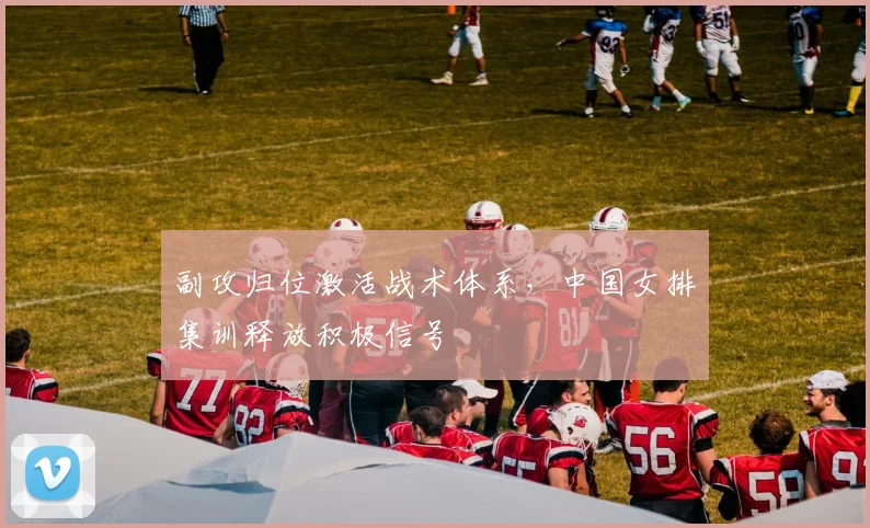 副攻归位激活战术体系,中国女排集训释放积极信号