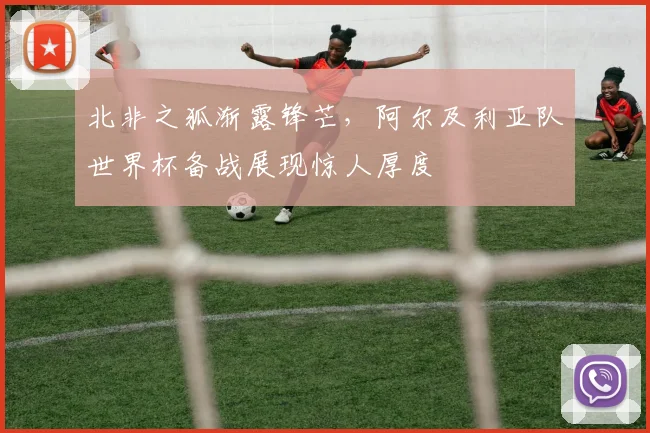 北非之狐渐露锋芒,阿尔及利亚队世界杯备战展现惊人厚度
